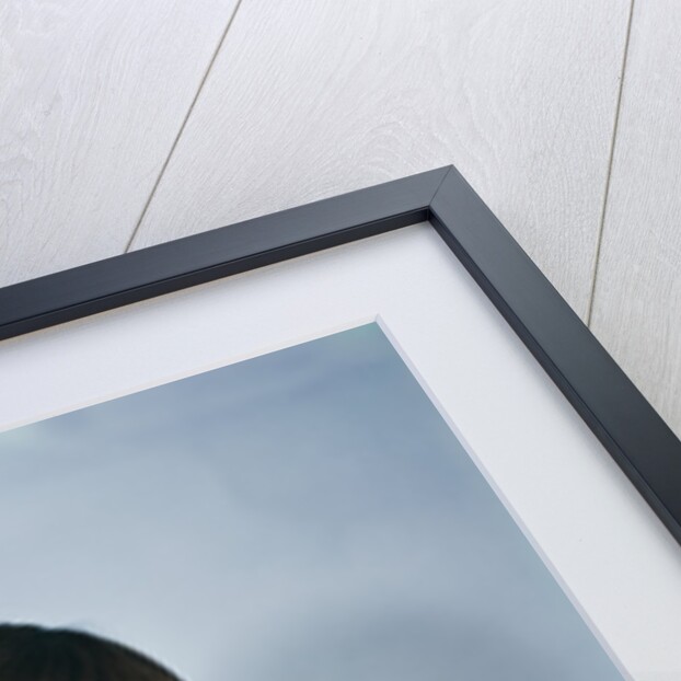 1950s 1960s winsome sad little girl sitting hugging a cocker spaniel puppy studio by Anonymous