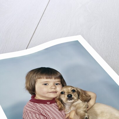 1950s 1960s winsome sad little girl sitting hugging a cocker spaniel puppy studio by Anonymous