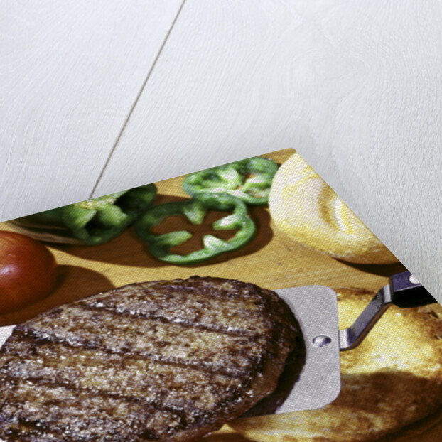 Hamburger beef patty, onion, tomatoes & peppers and rolls by Anonymous