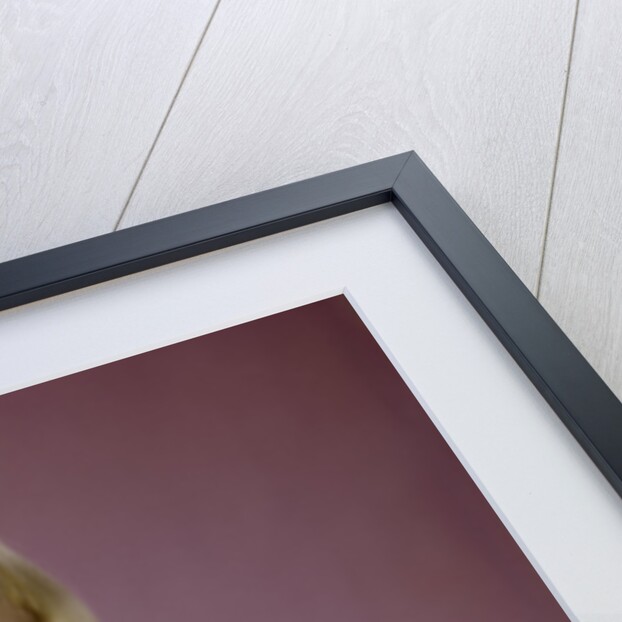 1960s girl glass milk dairy smile looking at camera by Anonymous