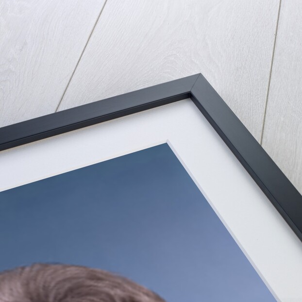 1960s portrait smiling elderly woman wearing orange top laughing looking to side by Anonymous