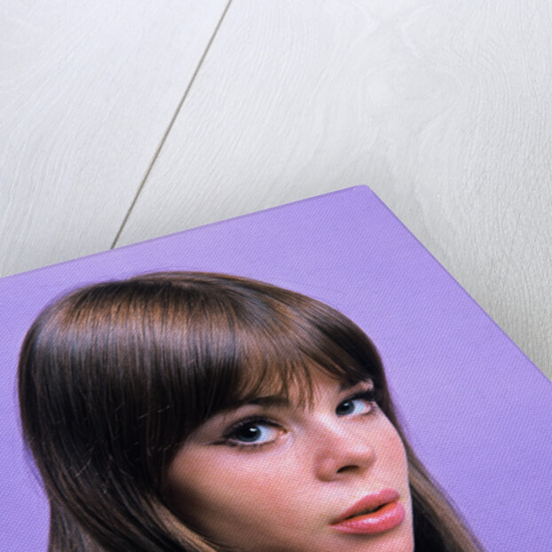 1960s portrait young brunette woman teen head shoulders purple background by Anonymous