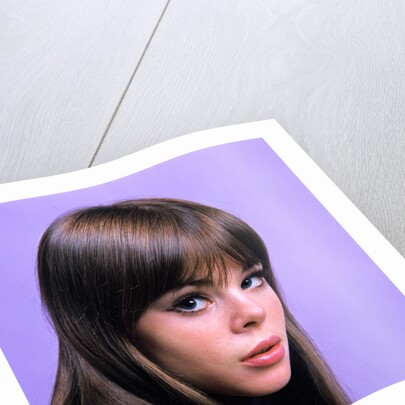 1960s portrait young brunette woman teen head shoulders purple background by Anonymous