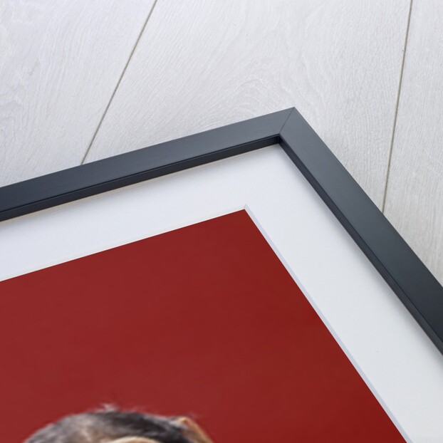 1960s chimpanzee wearing suit and tie playing cymbals by Anonymous