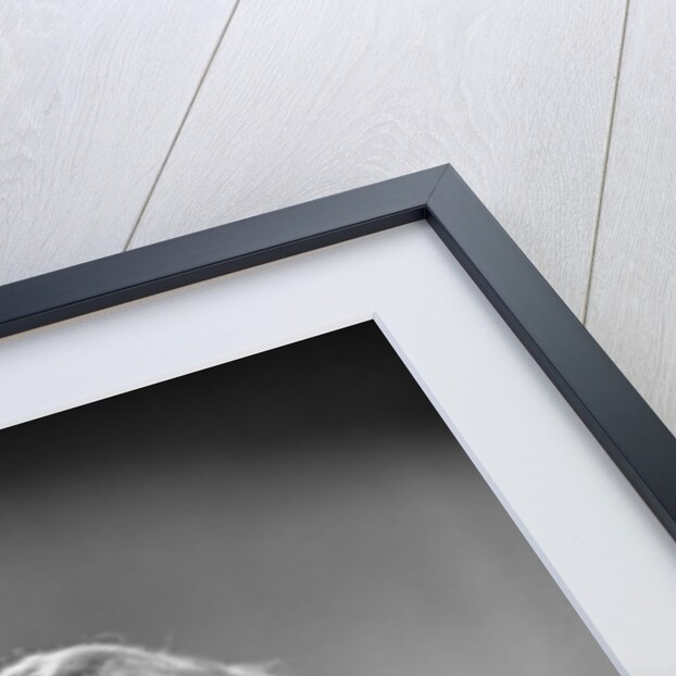 1950s mature middle aged man smiling business suit tie happy amused funny face expression by Anonymous