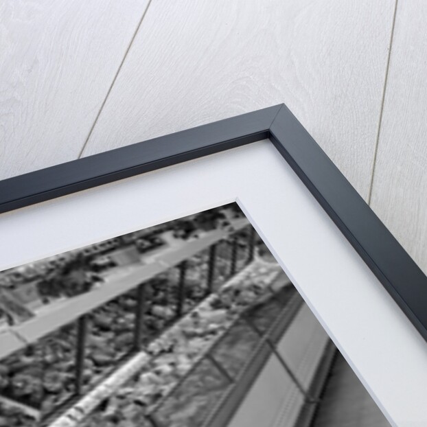 1950s grocery store meat section by Anonymous