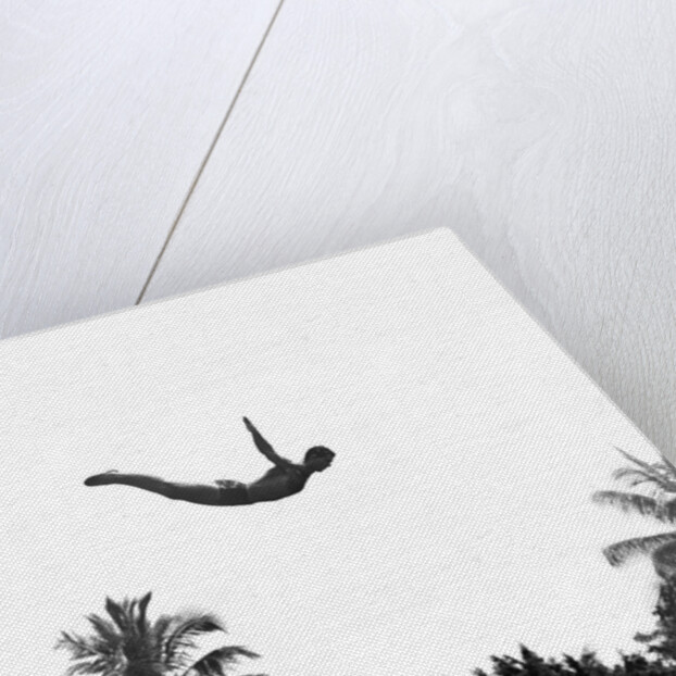 1940s man poised midair arms out jumping from diving board into pool by Anonymous