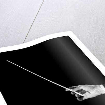 1950s male orchestra conductor's hand holding baton by Anonymous