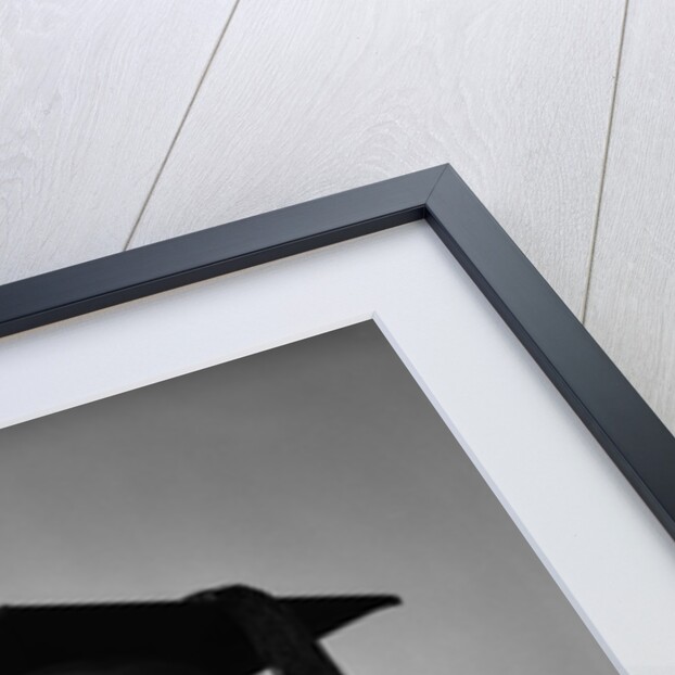 1950s smiling woman teenage girl eyes closed holding diploma graduate wearing cap gown by Anonymous