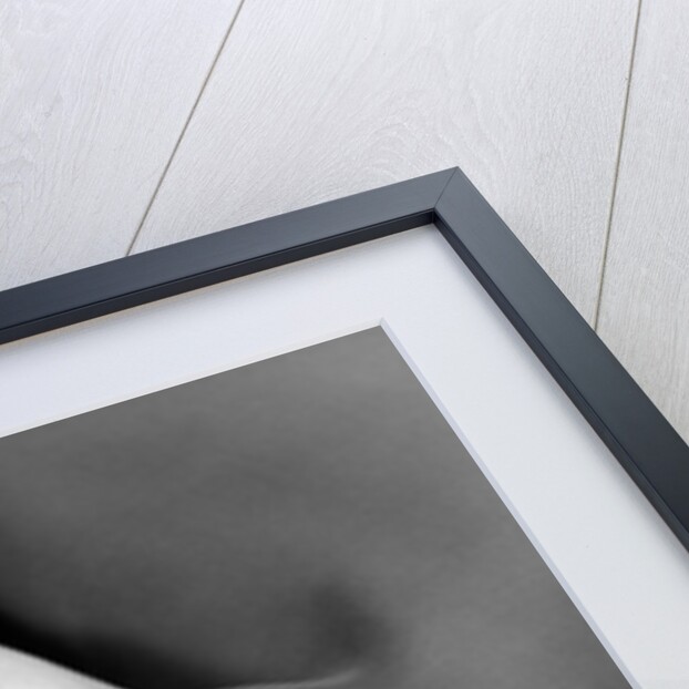 1950s close-up of baby holding mother's thumb by Anonymous