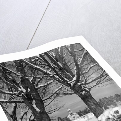 1940s pile of snow-covered firewood logs stacked between two trees with country church in background by Anonymous