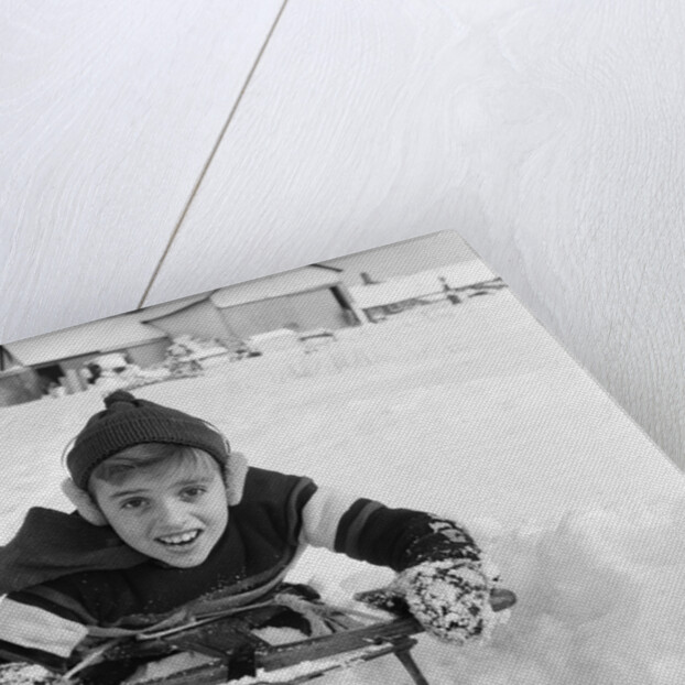 1950s boy on sled in snow looking at camera by Anonymous