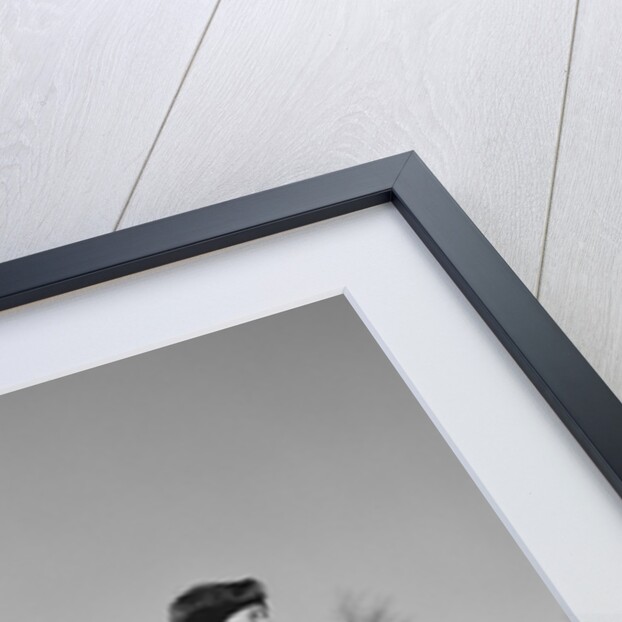 1960s three boys holding sleds looking downhill by Anonymous