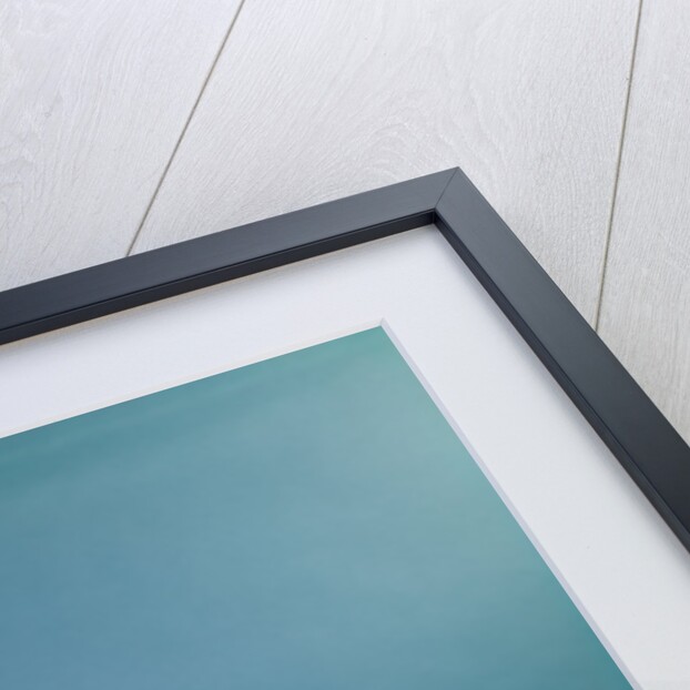 1960s baby surprised facial expression holding telephone hand set over yellow pages phone book directory by Anonymous