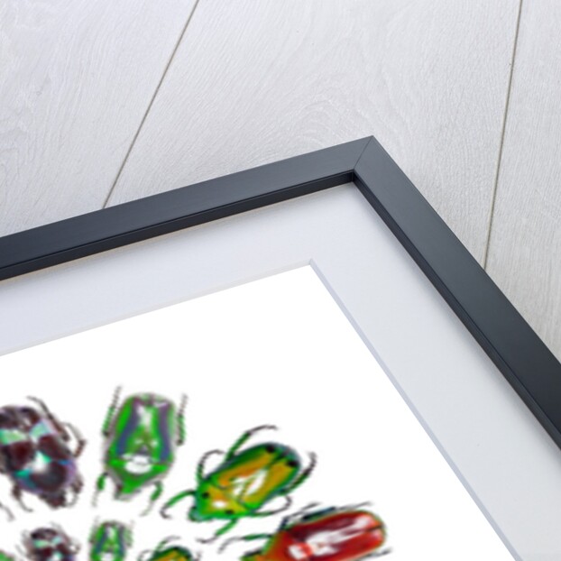Flower Beetles in circular pattern design by Anonymous