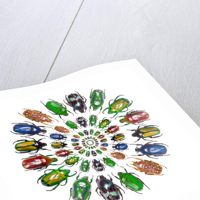 Flower Beetles in circular pattern design by Anonymous