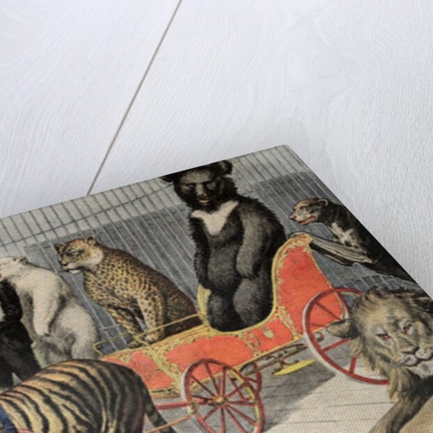 Jardin d'Acclimatation Paris Zoo (1895) by Anonymous