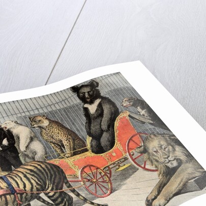 Jardin d'Acclimatation Paris Zoo (1895) by Anonymous