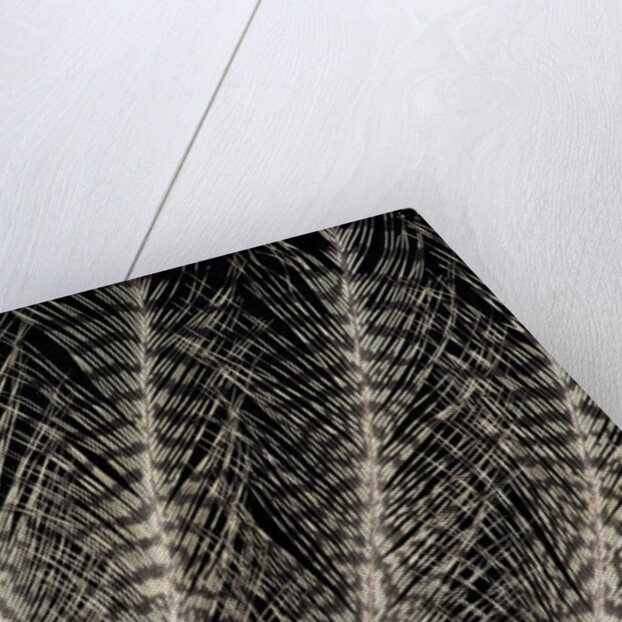 Feather design of Eurasion Eagle Owl by Anonymous