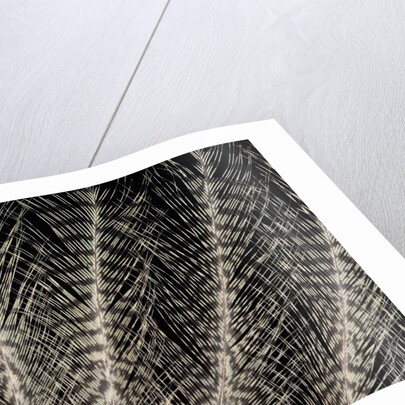 Feather design of Eurasion Eagle Owl by Anonymous