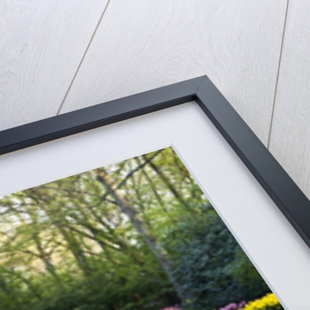 Keukenhof Gardens near Lisse in springtime bloom by Anonymous