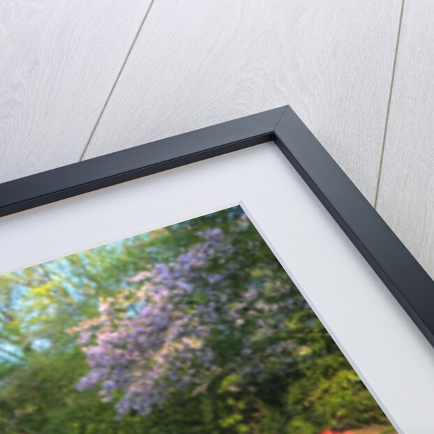 Springtime colors and pathway in Kuekenhof gardens with Hyacinths, Daffodils, Tulips Holland (Nether by Anonymous