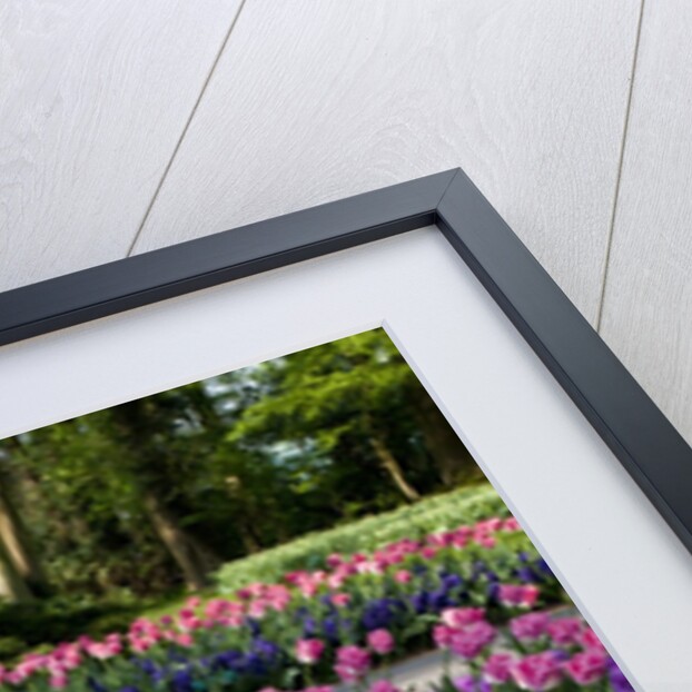Keukenhof Gardens near Lisse in springtime bloom by Anonymous