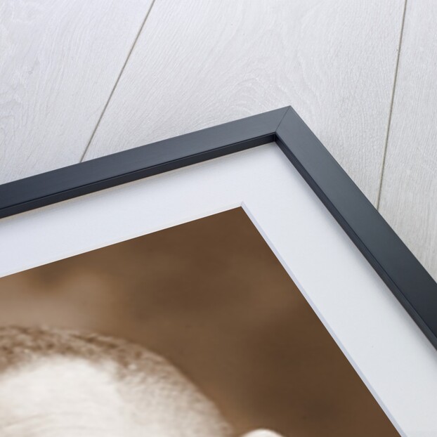 Booker T. Washington by Anonymous