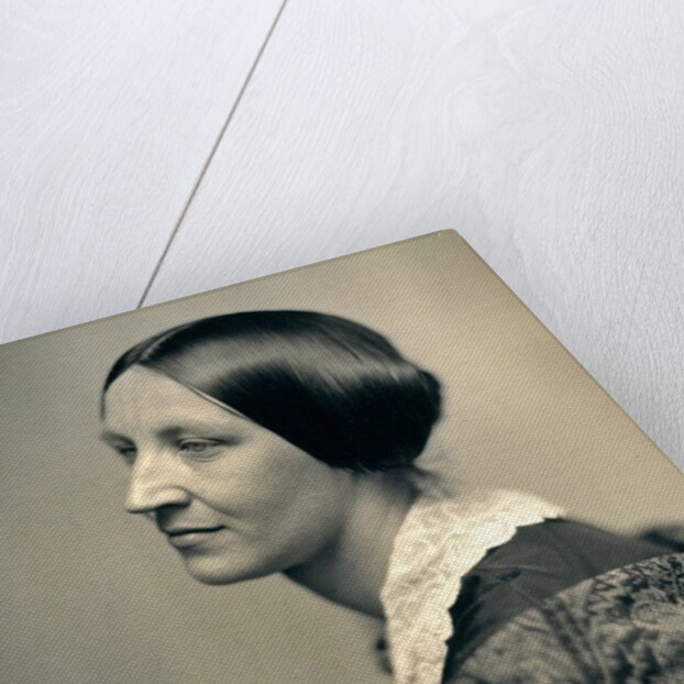 Susan B. Anthony by Anonymous