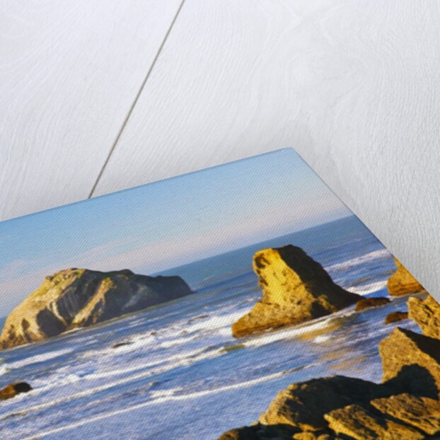 rock formations at low tide, Bandon Beach, Oregon Coast, Pacific Northwest. Pacific Ocean by Anonymous