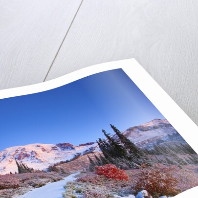 sunrise over Mt. Rainier with snow on fall colors, Washington State by Anonymous