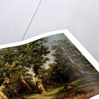 Shishkin I. Painting by Anonymous