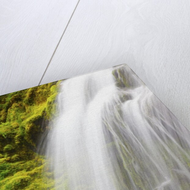 Beautiful Proxy Falls, Willamette National Forest, Oregon Cascade Mountains. Pacific Northwest by Anonymous