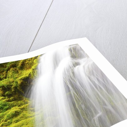 Beautiful Proxy Falls, Willamette National Forest, Oregon Cascade Mountains. Pacific Northwest by Anonymous