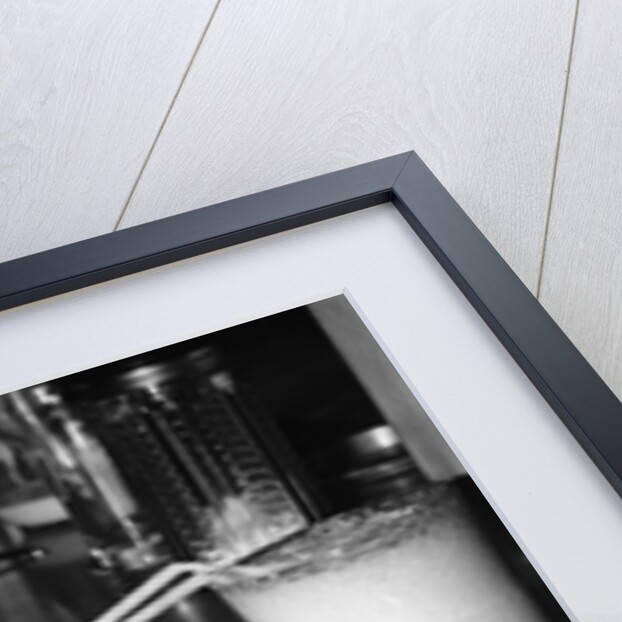 Dog drinking with straw by Anonymous