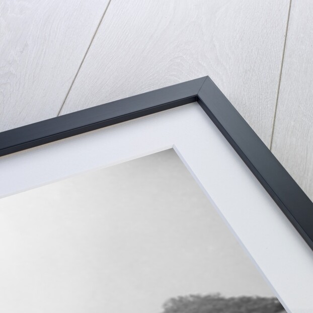 The Marin County Civic Center Created by Frank Lloyd Wright