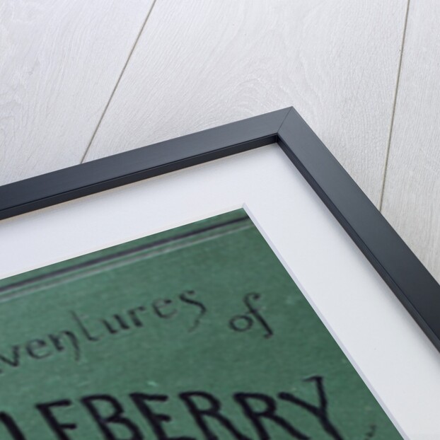 Book cover for Mark Twain's The Adventure's of Huckelberry Finn by Anonymous