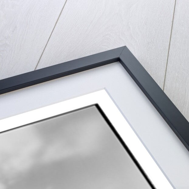 Acacia Tree, Masai Mara Game Reserve, Kenya by Anonymous