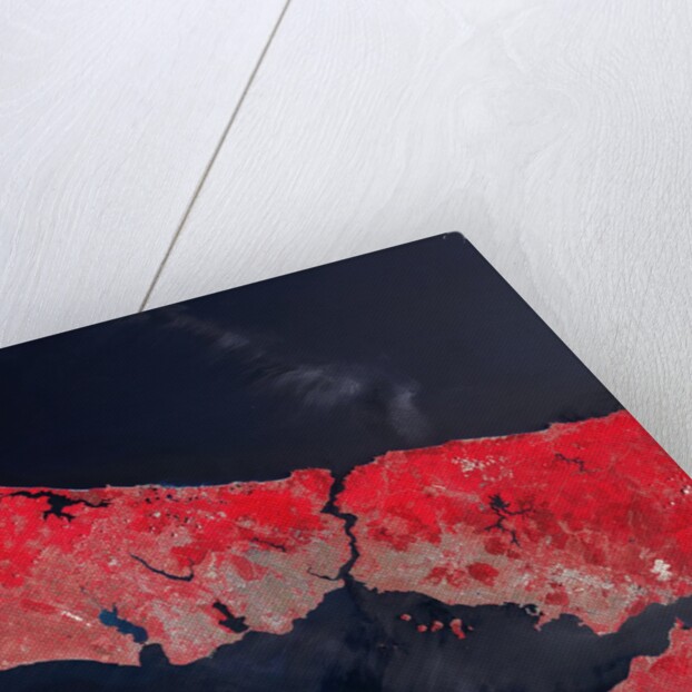 Satellite view of Istanbul, Turkey and the Bosporus strait by Anonymous