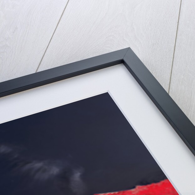 Satellite view of Istanbul, Turkey and the Bosporus strait by Anonymous