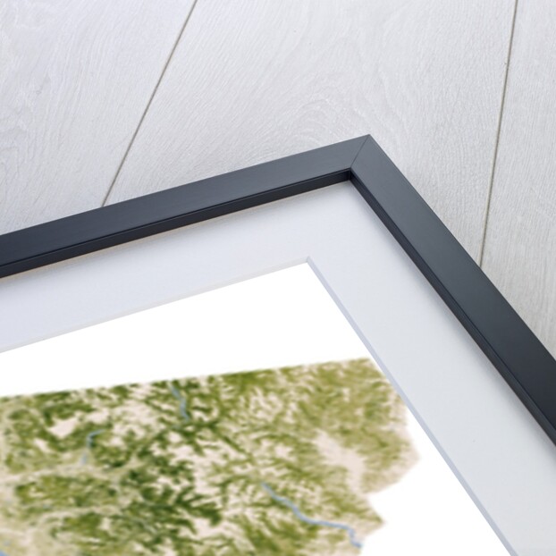 Satellite biomass map of western Washington State by Anonymous