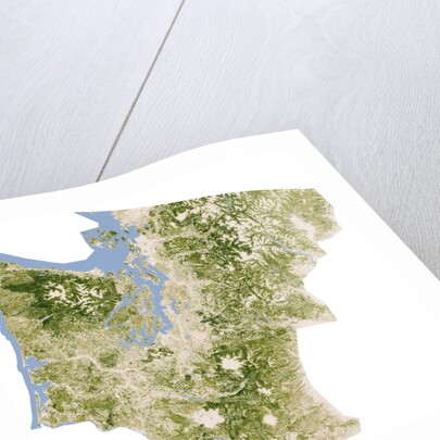 Satellite biomass map of western Washington State by Anonymous