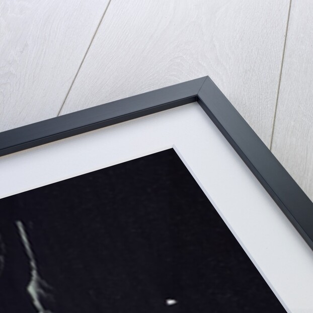 Satellite view of icebergs off the Amery Ice Shelf in Antarctica by Anonymous