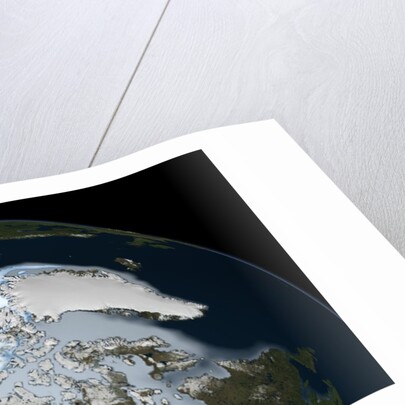 Satellite image showing the loss of multi-year sea ice in the Arctic Ocean in 2012 by Anonymous