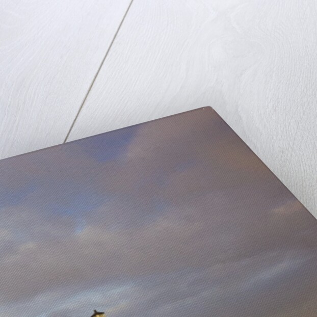 sunrise Yaquina Head Lighthouse. Oregon Coast, Pacific Ocean, Pacific Northwest by Anonymous