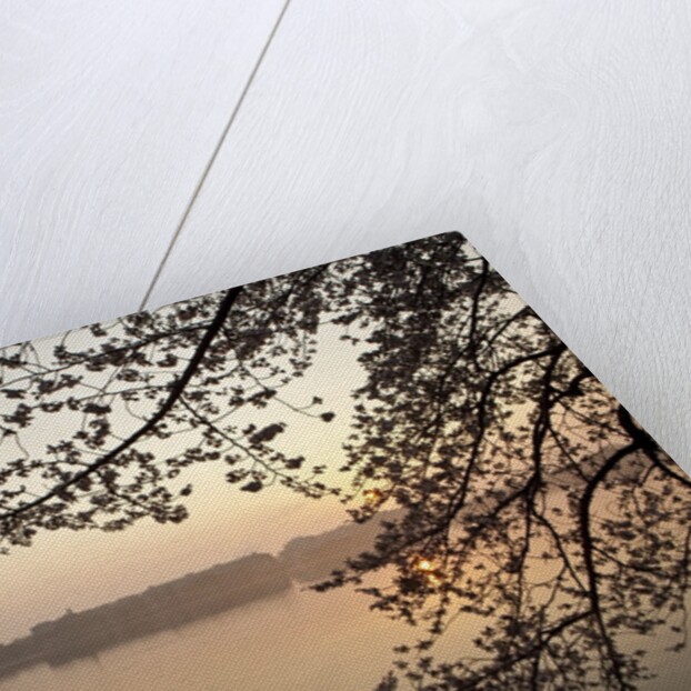 Sunrise over Tidal Basin by Anonymous