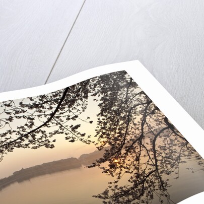 Sunrise over Tidal Basin by Anonymous