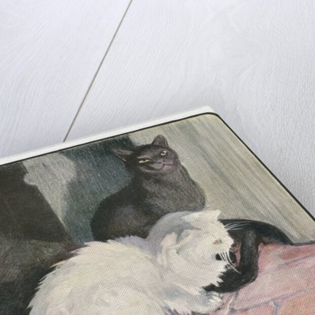 A White and Black Cat Sitting on a City Stoop by Anonymous