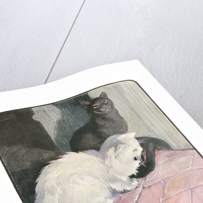 A White and Black Cat Sitting on a City Stoop by Anonymous