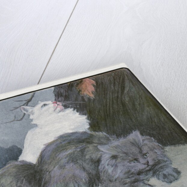 A White and Gray Persian Cat on a Park Bench in the Fall by Anonymous